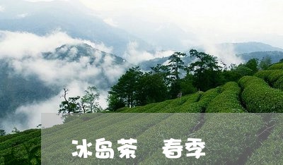 冰岛茶 春季/2023090715148